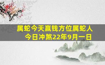 属蛇今天赢钱方位属蛇人今日冲煞22年9月一日