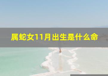 属蛇女11月出生是什么命