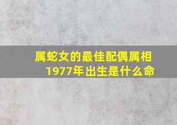 属蛇女的最佳配偶属相1977年出生是什么命