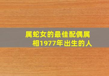 属蛇女的最佳配偶属相1977年出生的人