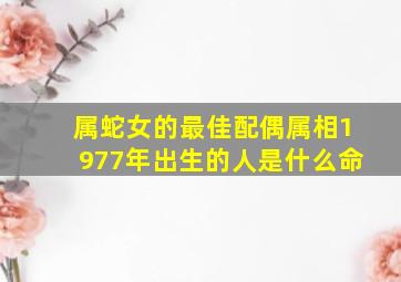 属蛇女的最佳配偶属相1977年出生的人是什么命