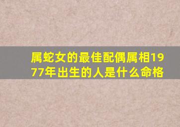 属蛇女的最佳配偶属相1977年出生的人是什么命格