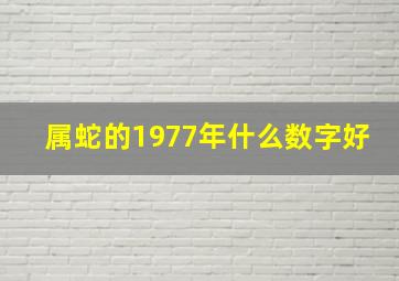 属蛇的1977年什么数字好