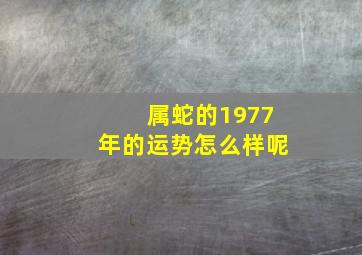 属蛇的1977年的运势怎么样呢