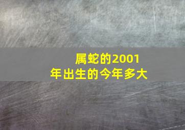 属蛇的2001年出生的今年多大