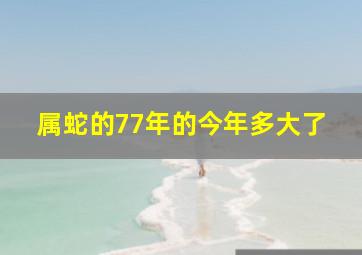 属蛇的77年的今年多大了