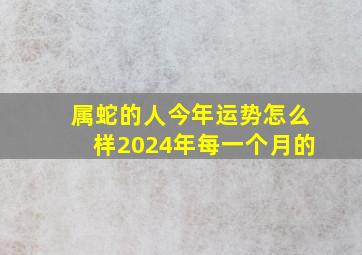 属蛇的人今年运势怎么样2024年每一个月的