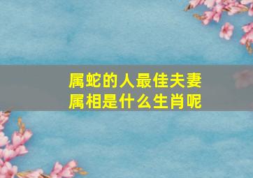 属蛇的人最佳夫妻属相是什么生肖呢