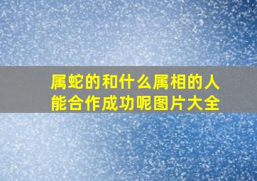 属蛇的和什么属相的人能合作成功呢图片大全