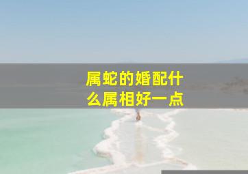 属蛇的婚配什么属相好一点