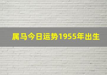 属马今日运势1955年出生