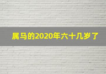 属马的2020年六十几岁了