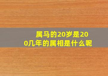 属马的20岁是200几年的属相是什么呢