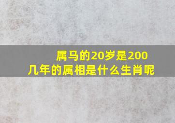 属马的20岁是200几年的属相是什么生肖呢