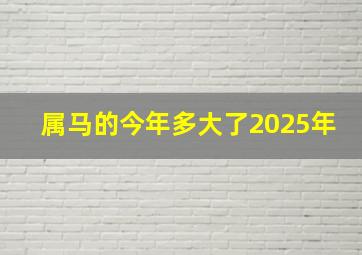 属马的今年多大了2025年