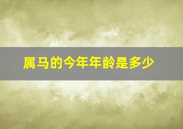 属马的今年年龄是多少