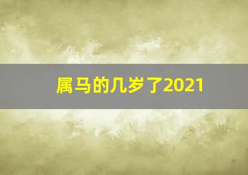 属马的几岁了2021