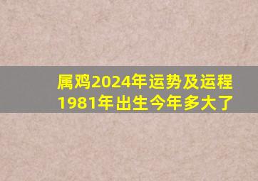 属鸡2024年运势及运程1981年出生今年多大了