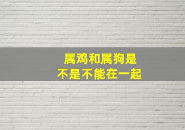 属鸡和属狗是不是不能在一起