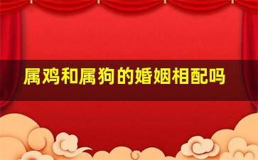 属鸡和属狗的婚姻相配吗