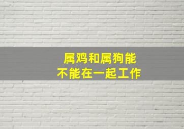 属鸡和属狗能不能在一起工作