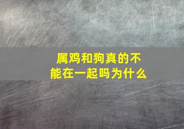 属鸡和狗真的不能在一起吗为什么