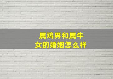 属鸡男和属牛女的婚姻怎么样