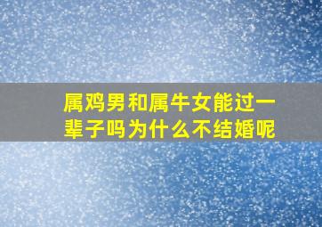 属鸡男和属牛女能过一辈子吗为什么不结婚呢