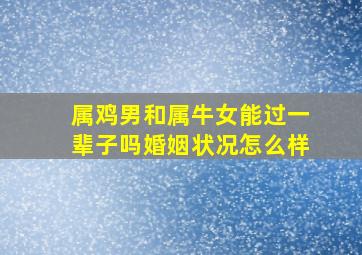 属鸡男和属牛女能过一辈子吗婚姻状况怎么样