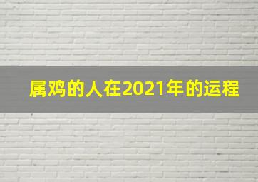 属鸡的人在2021年的运程