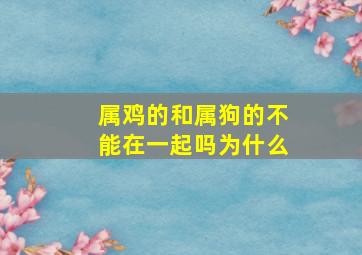 属鸡的和属狗的不能在一起吗为什么