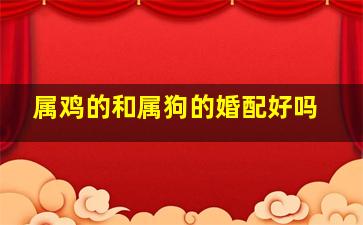 属鸡的和属狗的婚配好吗