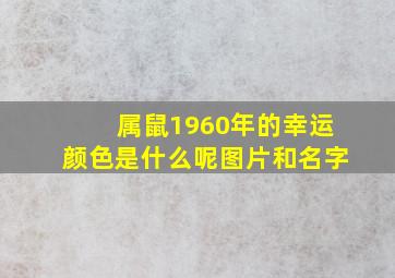 属鼠1960年的幸运颜色是什么呢图片和名字