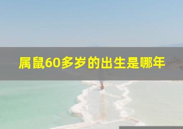 属鼠60多岁的出生是哪年