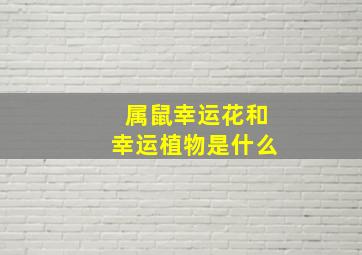 属鼠幸运花和幸运植物是什么