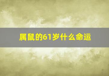 属鼠的61岁什么命运