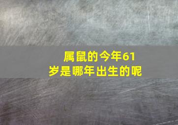 属鼠的今年61岁是哪年出生的呢