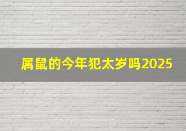 属鼠的今年犯太岁吗2025