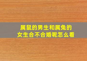 属鼠的男生和属兔的女生合不合婚呢怎么看