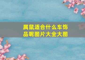 属鼠适合什么车饰品呢图片大全大图