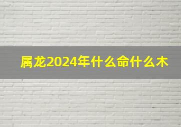 属龙2024年什么命什么木