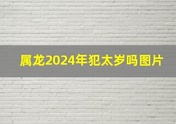 属龙2024年犯太岁吗图片