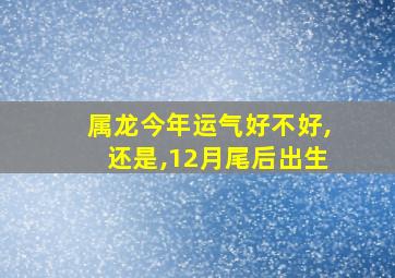 属龙今年运气好不好,还是,12月尾后出生