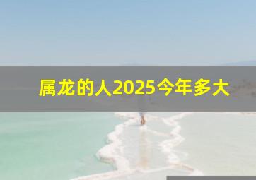 属龙的人2025今年多大