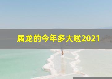 属龙的今年多大啦2021