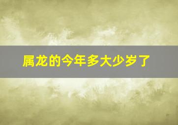 属龙的今年多大少岁了