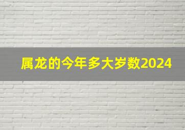 属龙的今年多大岁数2024