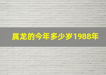 属龙的今年多少岁1988年