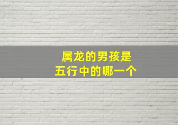 属龙的男孩是五行中的哪一个