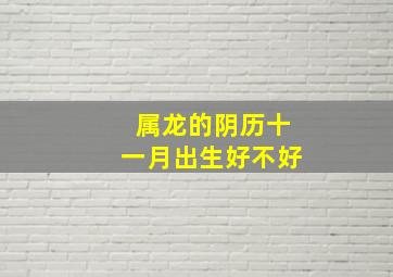 属龙的阴历十一月出生好不好